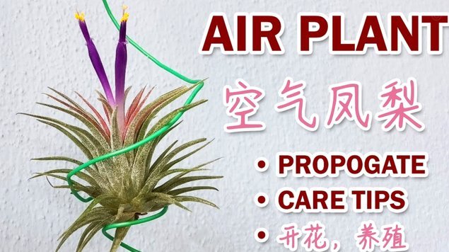 巧用花卡：从紧急金到投资的多重可能