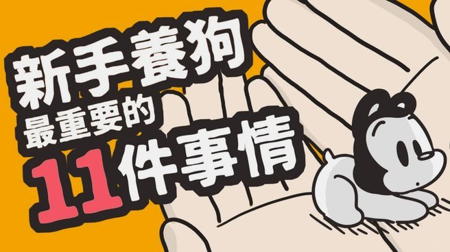 鹿优选先享卡回收折扣揭秘