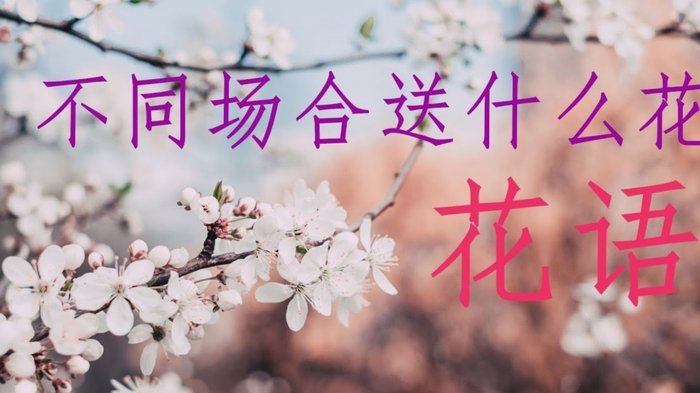 花呗套还：用借代替还背后的猫腻