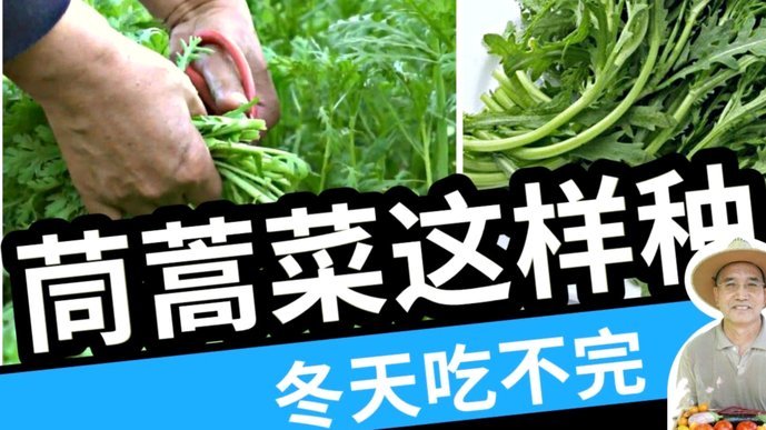 花呗转出来怎么要手续费