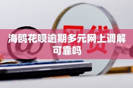 海鸥花呗：社交信用驱动的消费金融