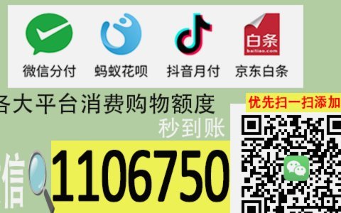 白条陷阱：小企业资金困境与金融体系隐患