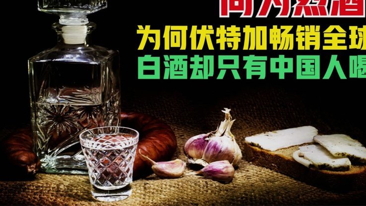 白条额度怎么提高？底层逻辑与避坑指南