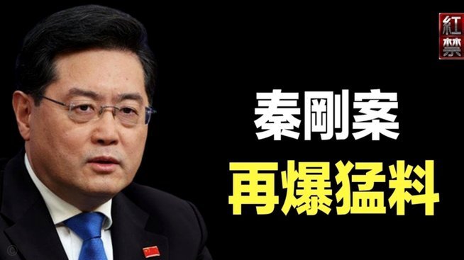 桃朵怎么不显示订单佣金了
