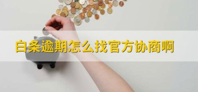 白条逾期协商延期怎么办？秒批处理攻略