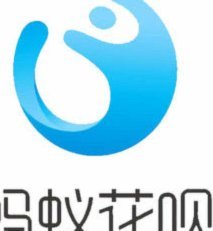 用花贝支付是什么意思