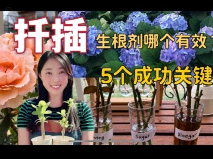 花呗秒套平台取现功能运作机制解析