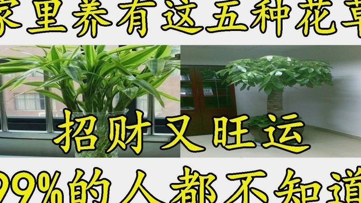 花呗取现有手续费吗现在