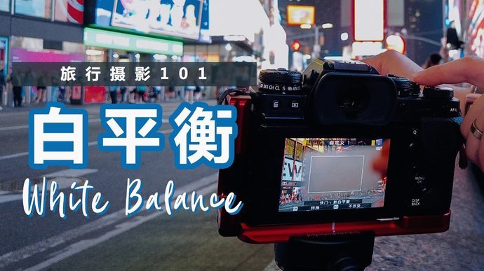 支持白条的商城