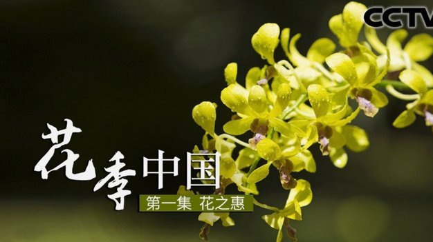 套现花呗平台 现金违法吗判几年