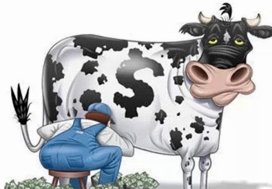 轻松下载，理性借贷：你的资金周转神器！