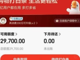白条秒到账商家轻松申请支持