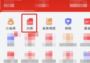 怎么从白条上借钱