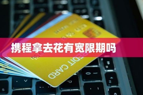 携程拿去花用招  风险需知