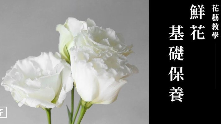 羊小花16300元消费陷阱如何破解