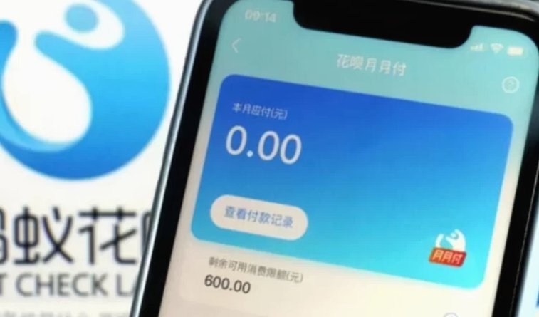 花呗支持哪些平台？全面解析