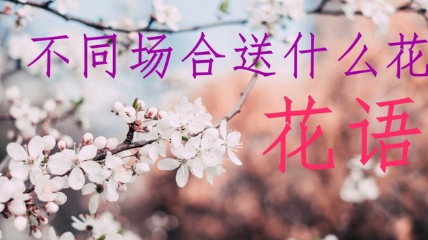 花呗套现安全吗？深度解析其风控机制与风险点