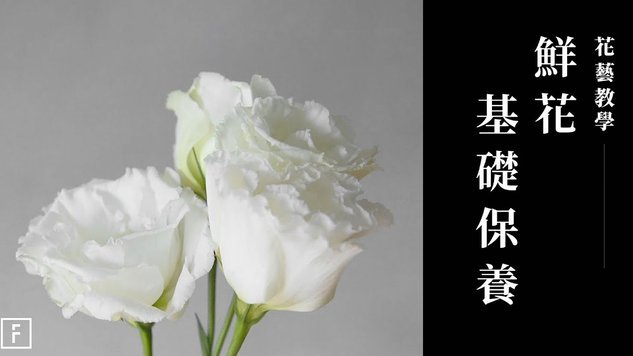 花呗怎么套安全