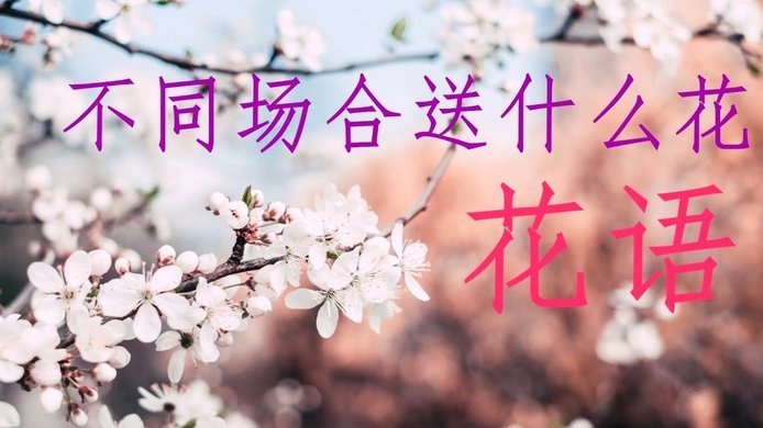 套现花呗：信用账户里的
