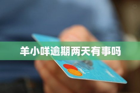 如何在抖音APP找到羊小咩的借款服务入口？