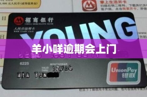 羊小咩借款的位置在哪里