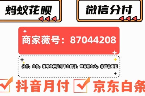 白条的额度怎么套出来