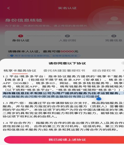 桃多多取现：便捷背后的深度解析
