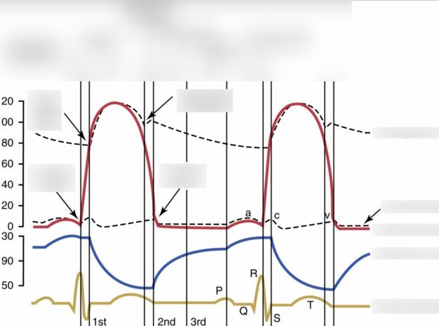 分期乐还款日：弹性安排背后的策略
