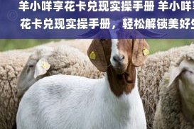 羊小咩24期协商攻略
