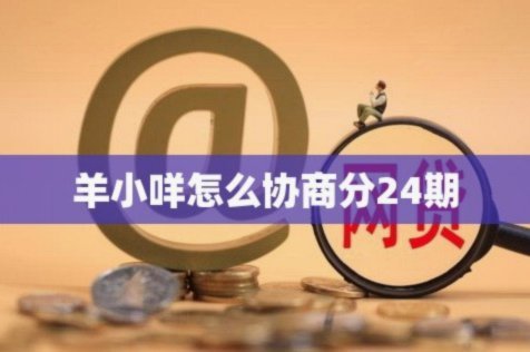 羊小咩怎么协商分24期可以吗