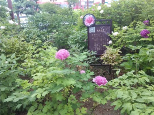 携程拿去花额度提升技巧