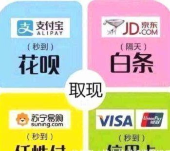 巧用白条：摆脱负债的有效策略指南